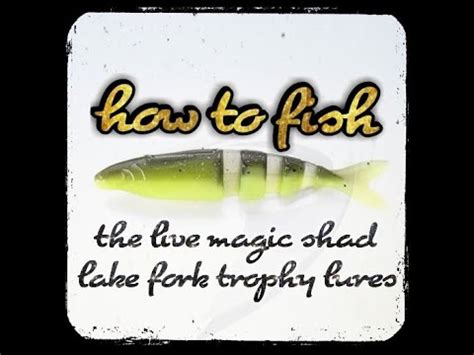 Pond fork alive magic shad